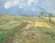 Vincent Van Gogh Wheat Fields at Auvers under Clouded Sky (nn04) oil painting on canvas
